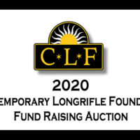 1 Auction logo 2_700 (002)