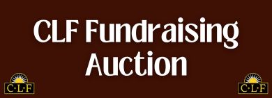 Auction Button