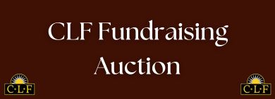 Auction Button